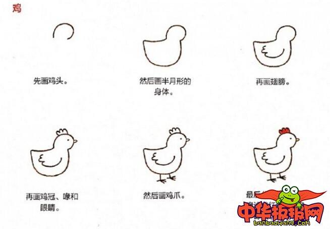 一步一步教画母鸡和小鸡简笔画