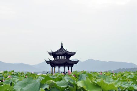 湖心亭简笔画视频