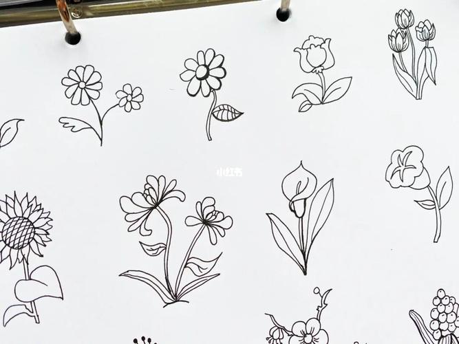 花朵简笔画94_简笔画_手帐_手抄报_绘画_文化_绘画