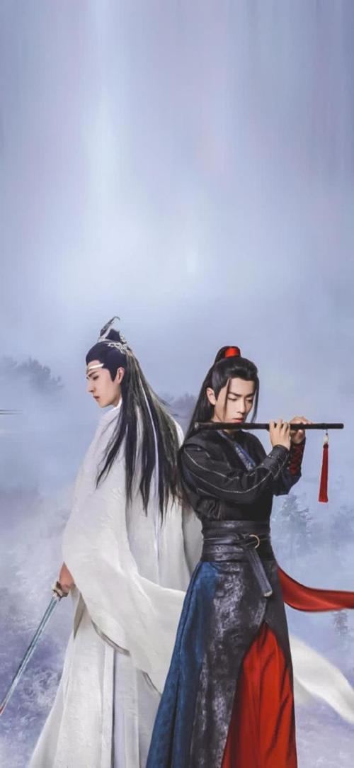40过半的老阿姨,遇到"陈情令",沦陷很惨|魏无羡|江澄