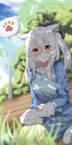 二次元美图!第一回