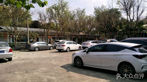 桂枫苑乡村酒店停车场图片