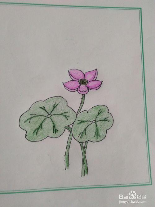 简笔画荷花怎么画