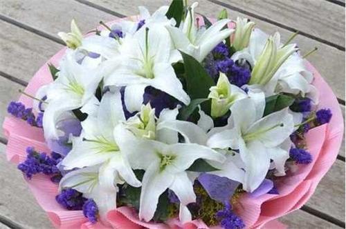 送闺蜜18朵花比较好送闺蜜最合适的6种花卉