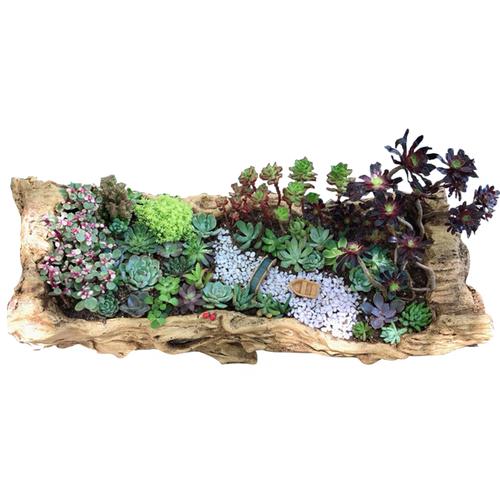 共117 件木桩花盆大相关商品