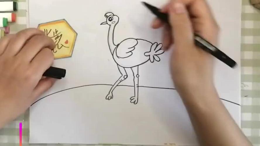 儿童简笔画:鸵鸟,小朋友轻松学会画1只可爱的鸵鸟