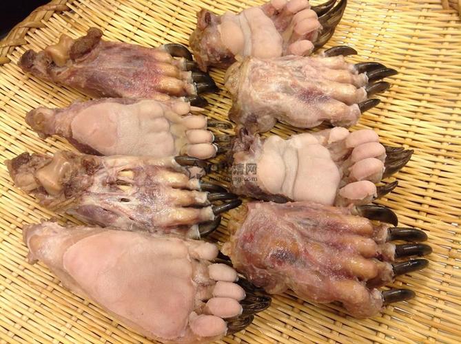 美食新闻日本也有熊掌料理