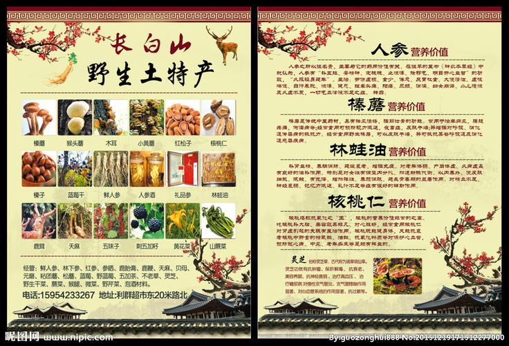 野生土特产彩页设计图__dm宣传单_广告设计_设计图库