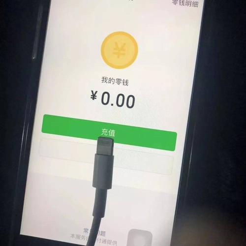 我的零钱:0,试图用充电线充值表情包 - 日常表情包