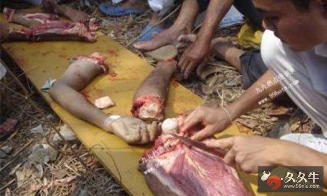 中国食人村 屠宰女人大块撕咬血腥淋漓画面恐怖令人呕心