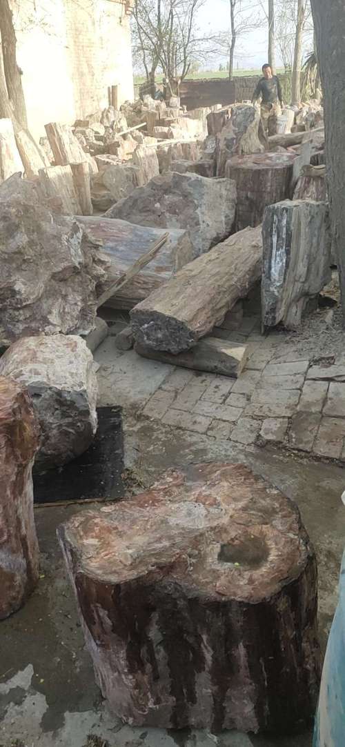 硅化木的价值,可根据适用于观赏石评价的"质(质量),色(颜色),形