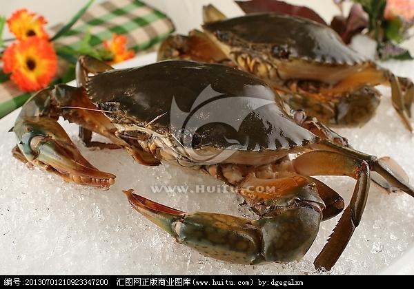 [正版商业] 膏蟹