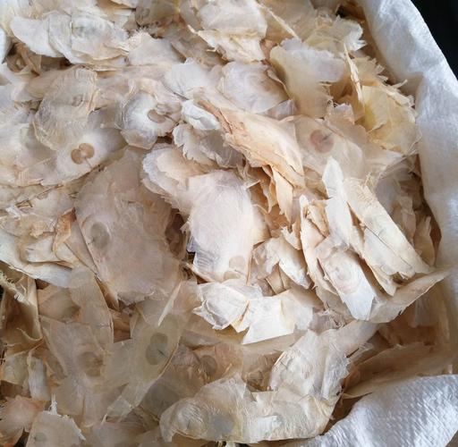 供应中药材 千层纸 玉蝴蝶 木蝴蝶 千张纸 量大从优