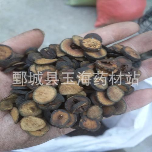 枳实 麸皮炒枳实 玉海药材批发各种中药材