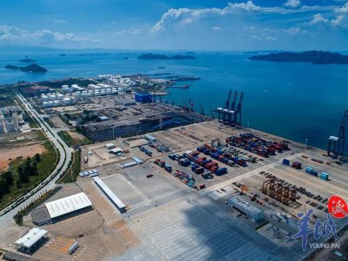 惠州:以前走海上丝路做国际贸易,如今兴跨境电商买卖全球