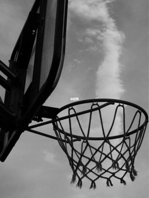 分享一组超级好看的篮球壁纸90_壁纸_篮球_投篮_壁纸分享_素材_壁纸