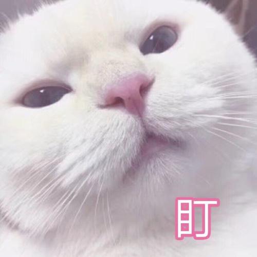 羡慕得起码要死3次表情包 - 表情图