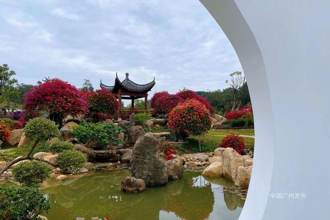 3000亩花海!广州最新"宝藏级"植物园开放预约!|马岭