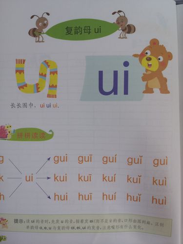 今天我们要在拼音王国里认识到的复韵母是 ui   ao   不会发音的宝贝