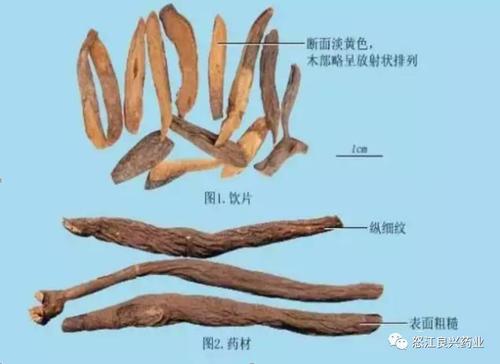 形如饮片地榆,表面焦黑色,内部棕褐色.具焦香气,味微苦涩.