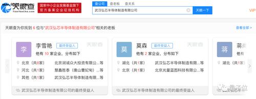 其中,李雪艳担任武汉弘芯董事长,莫森担任董事.
