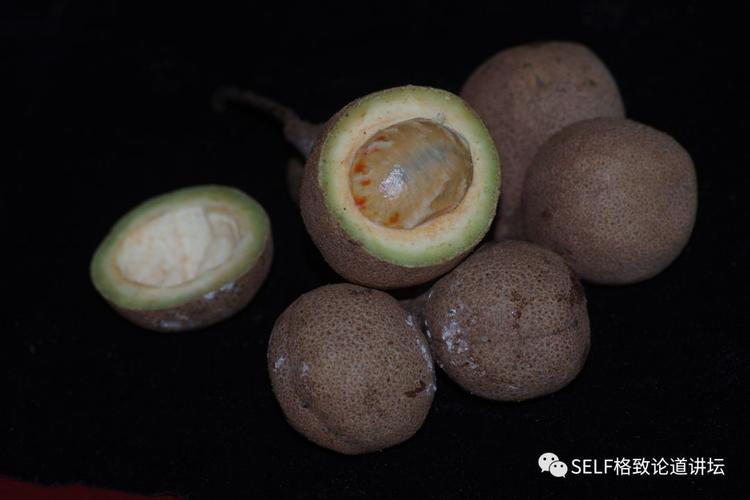 前一阵,刷抖音的朋友可能看到一个特别神奇的水果——香波果,这个