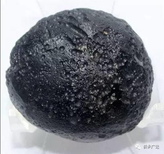 善本藏富|黑不溜秋的广东雷公墨缘何讨人喜欢?