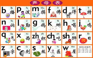 26个声母[26个声母和韵母表]_声母表 26个