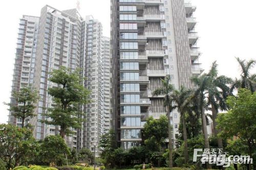 广佛交界的江景大盘,广州花都炭步颐和盛世二手房三室