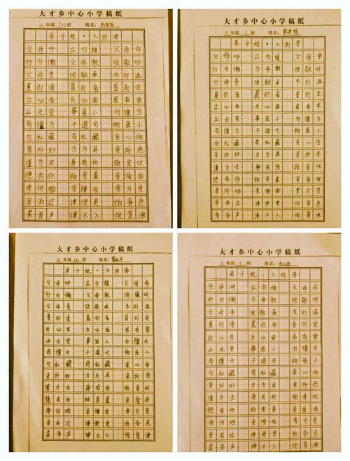 用语言塑造形象 用文字书写人生——环江毛南族自治县大才乡中心小学