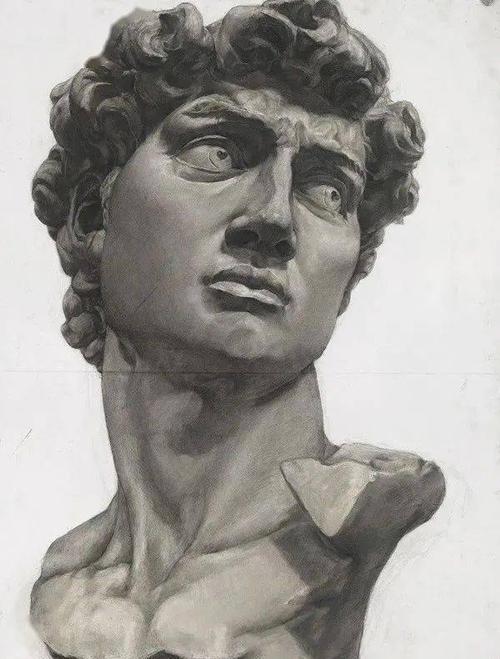【鉴赏】精选20幅大卫石膏像素描作品