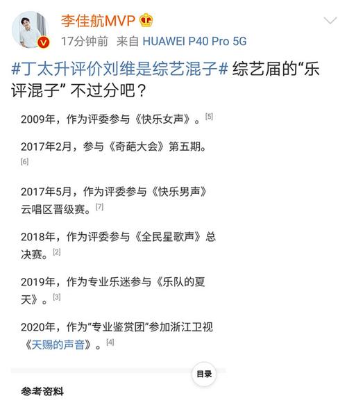 丁太升评价刘维是综艺混子李佳航发文怒怼综艺界的乐评混子
