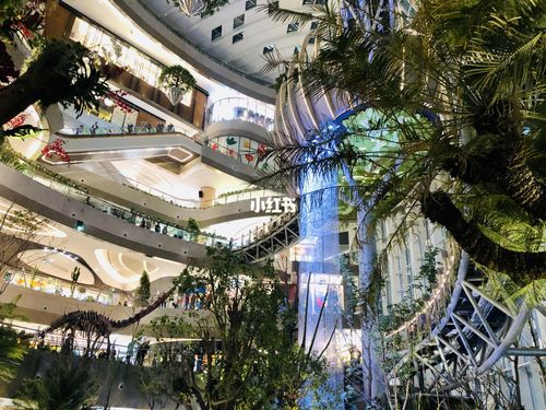 重庆光环购物公园_重庆光环购物公园_新光天地_绿植_装修_出行_出行