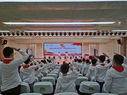 湖心路小学第一批少先队员入队出旗仪式  图片来源:湖心路小学