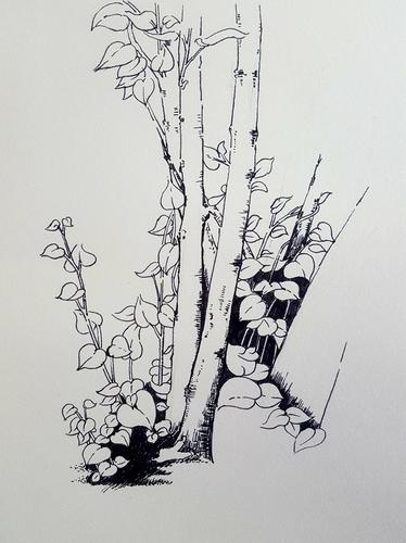 风景速写临摹第二张,未完成