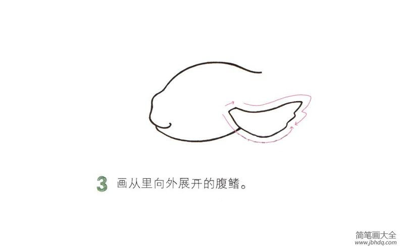 一步一步学画漂亮的金鱼