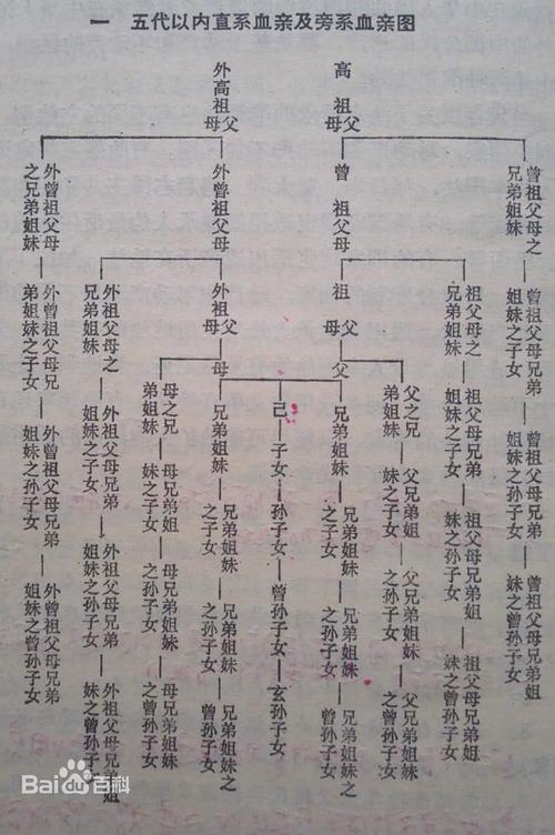 什么叫直系亲属?_血亲