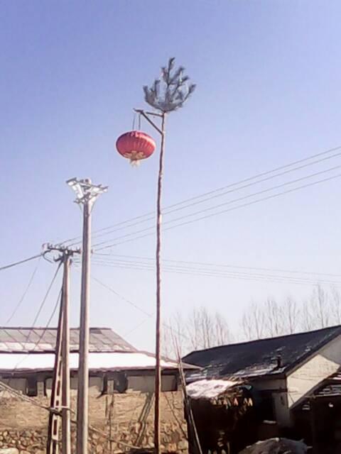 农村过年砍了一根灯笼杆!今天当地林业站的人来我家让