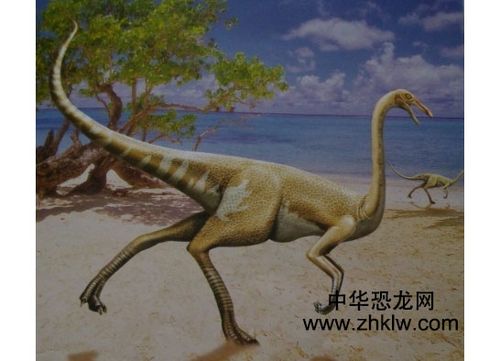 似鸡龙白垩纪杂食恐龙