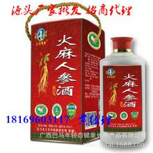 巴马火麻人参酒 精美包装礼盒 口感好 厂家批发热销中 贴牌