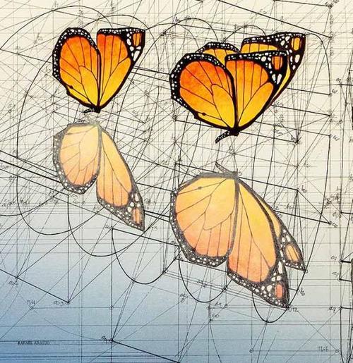 数学&艺术,欣赏这位艺术家的尺规作画