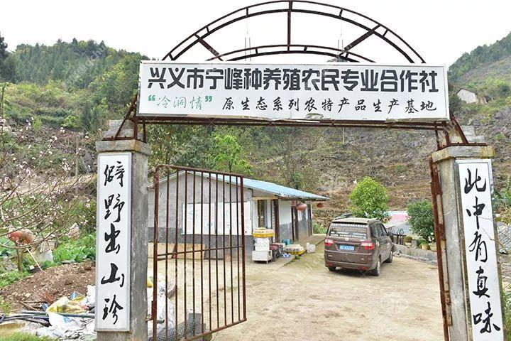 宁峰种养殖农民专业合作社