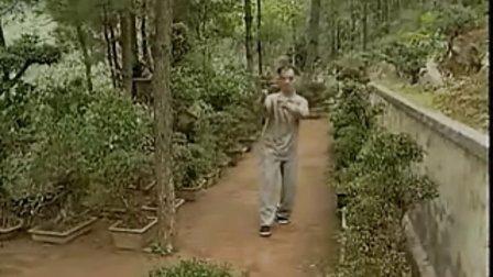 王安平-中华浑圆功