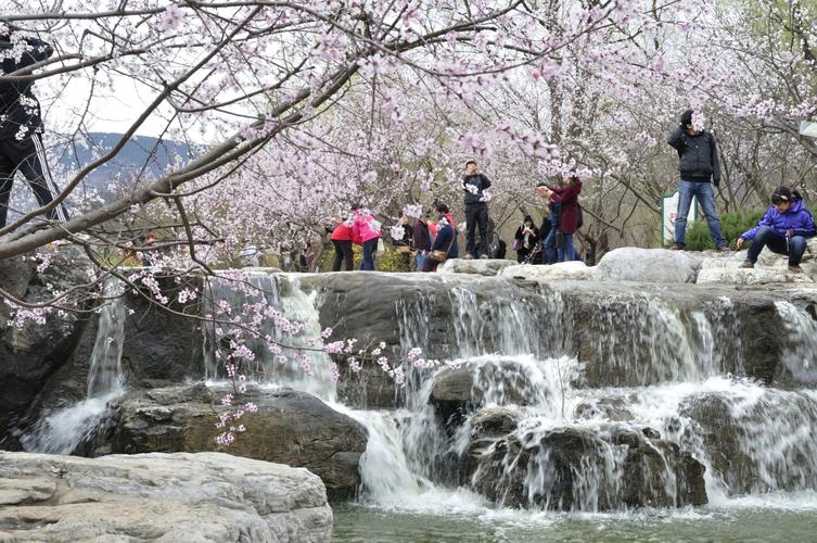 标题:北京植物园-桃花源