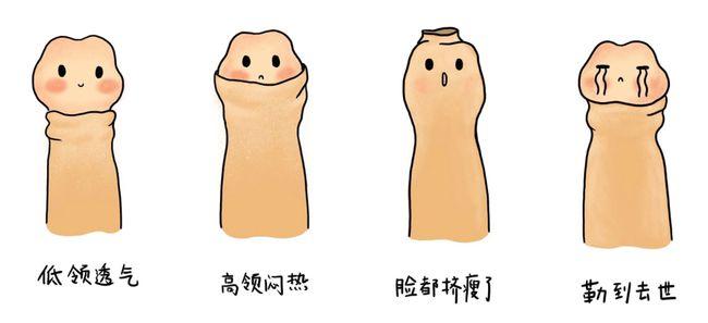 男生的小丁丁到底长什么样高清彩图