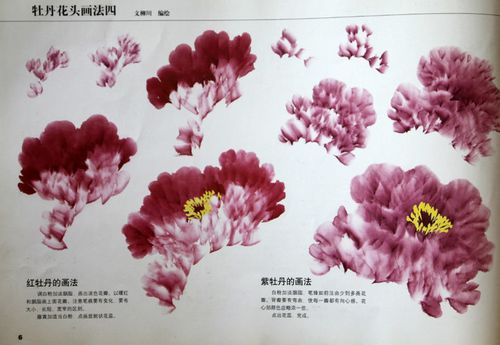 主页 画画教程 国画教程 > 王绣写意牡丹画法  2,王绣等牡丹画法补充