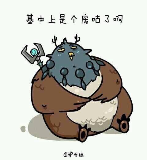 魔兽世界一只废咕咕的心情——对不起打本的小伙伴_手机搜狐网