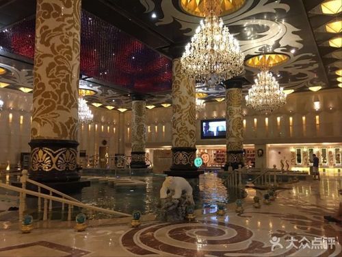 金碧海洋之星度假酒店-图片-沈阳休闲娱乐-大众点评网