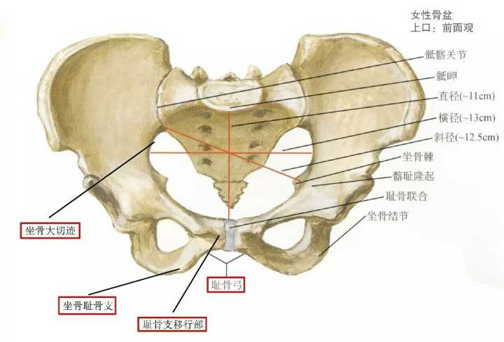 博物馆存在的意义和价值是什么?