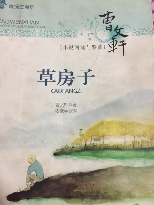 今天我给大家分享的是《草房子》
